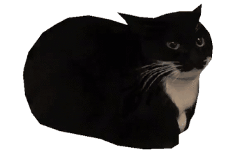 Animated cat